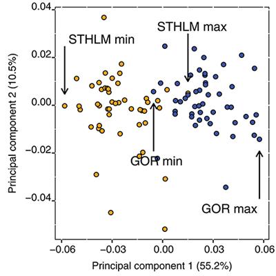 Ecosystem Effects of Morphological and Life History Traits in Two Divergent Zooplankton Populations